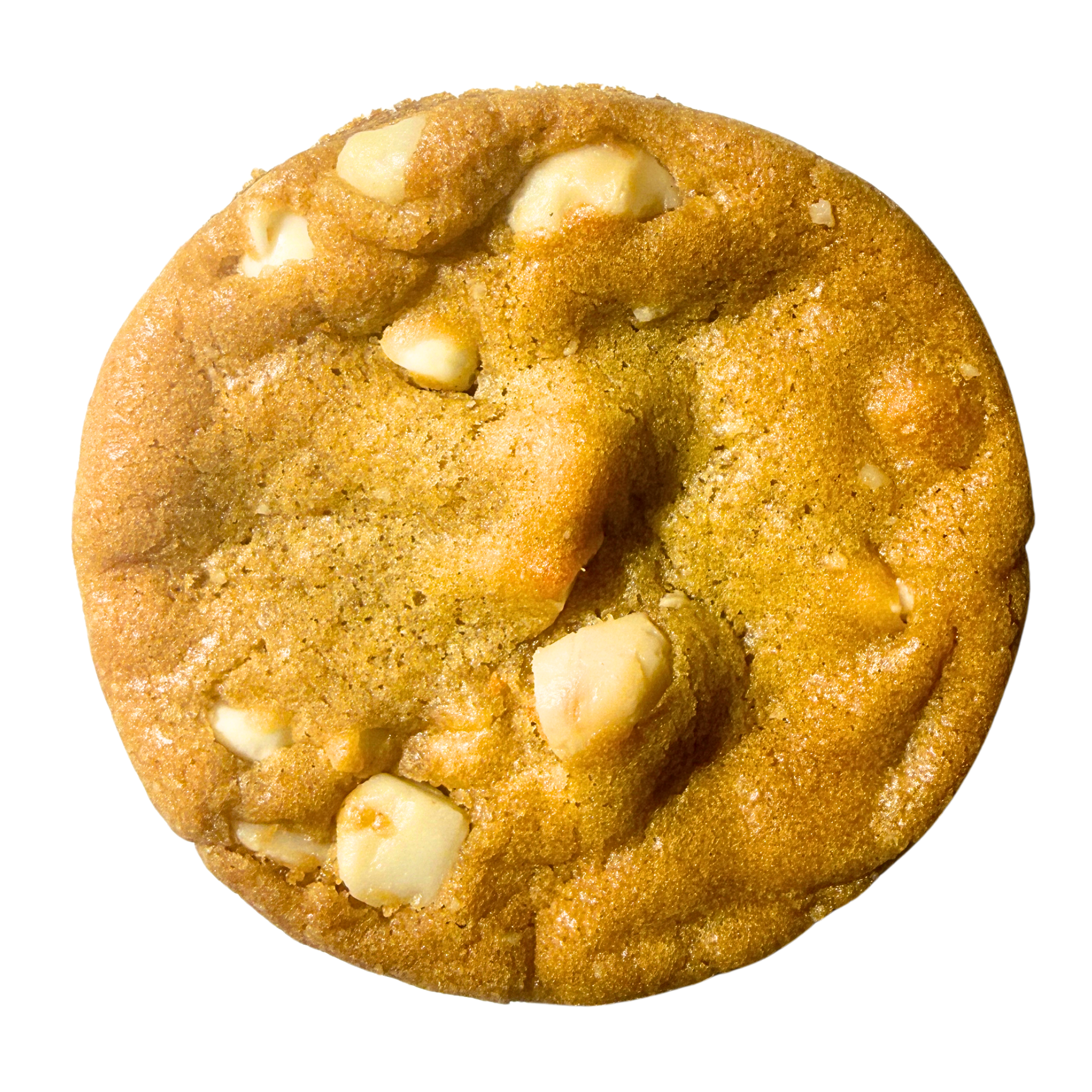 Macadamia