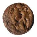 Double Chocolate Chip