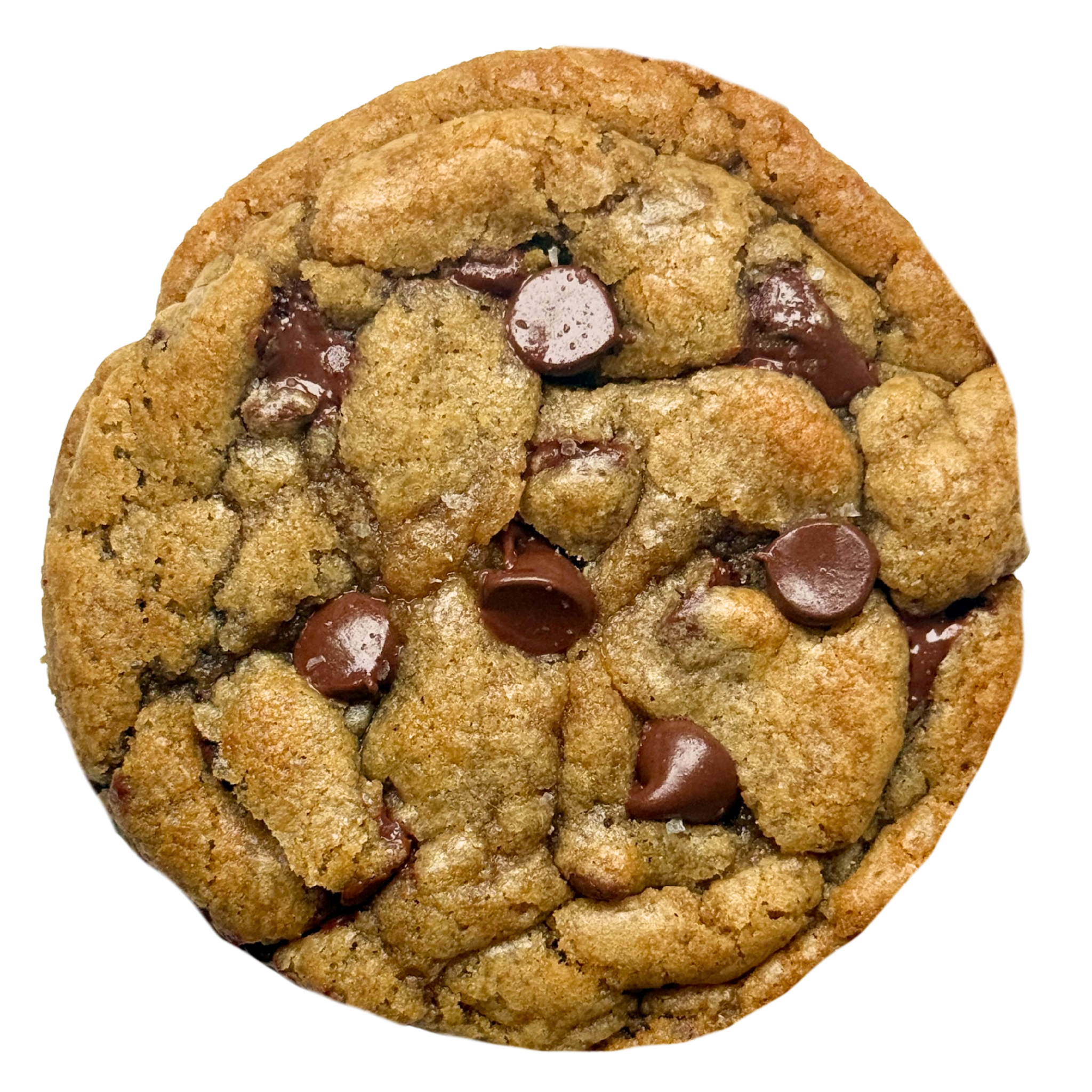 Chocolate Chip