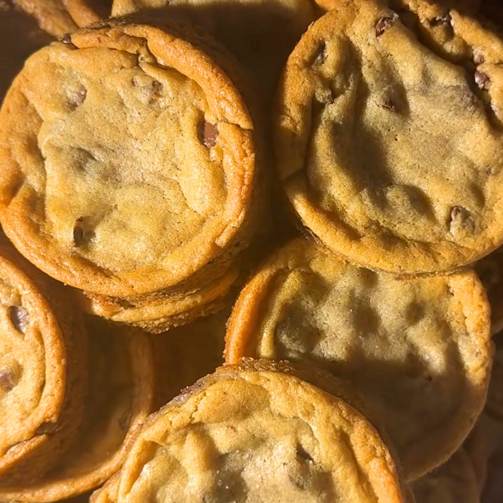Chocolate Chip