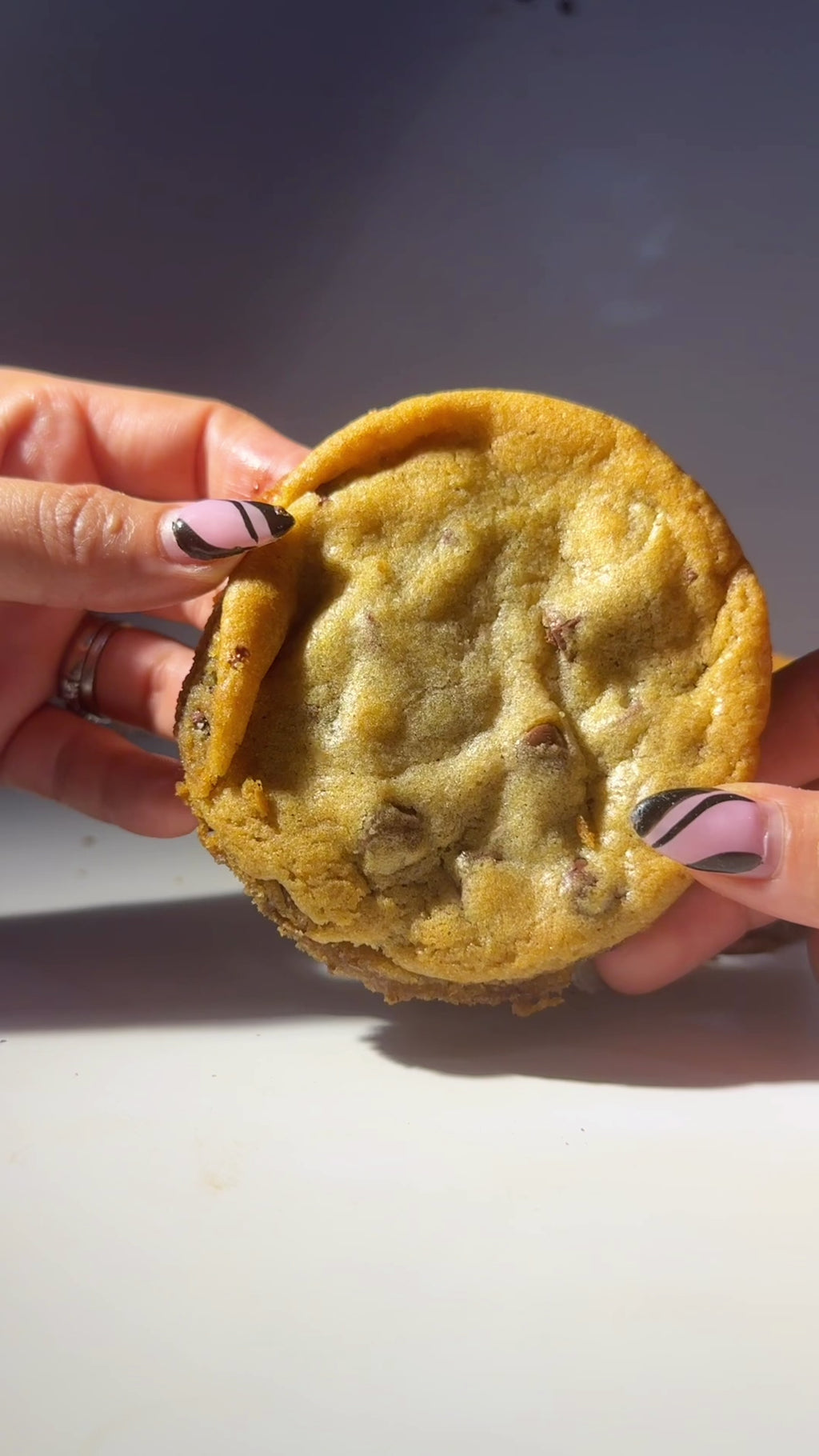 Chocolate Chip
